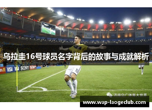 乌拉圭16号球员名字背后的故事与成就解析