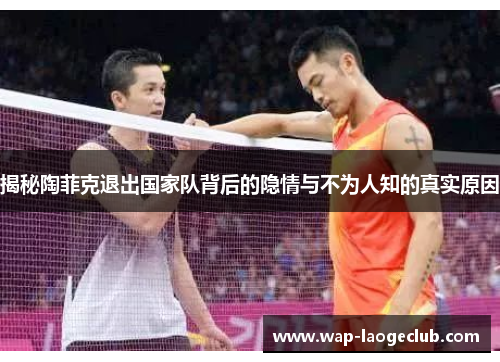 揭秘陶菲克退出国家队背后的隐情与不为人知的真实原因