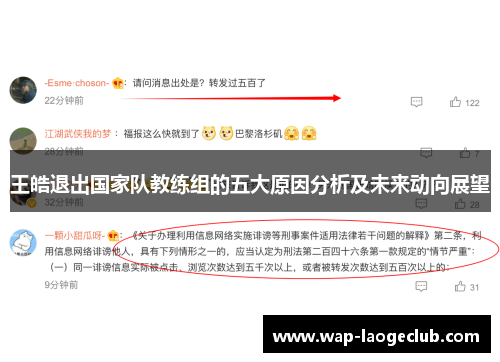 王皓退出国家队教练组的五大原因分析及未来动向展望