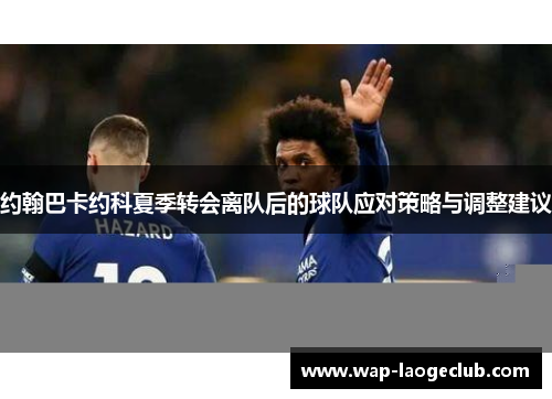 约翰巴卡约科夏季转会离队后的球队应对策略与调整建议