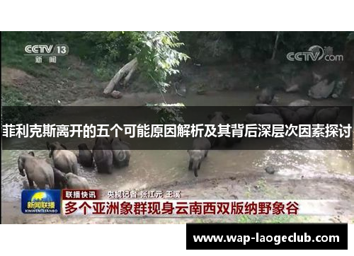 菲利克斯离开的五个可能原因解析及其背后深层次因素探讨