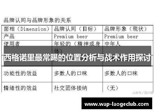 西格诺里最常踢的位置分析与战术作用探讨